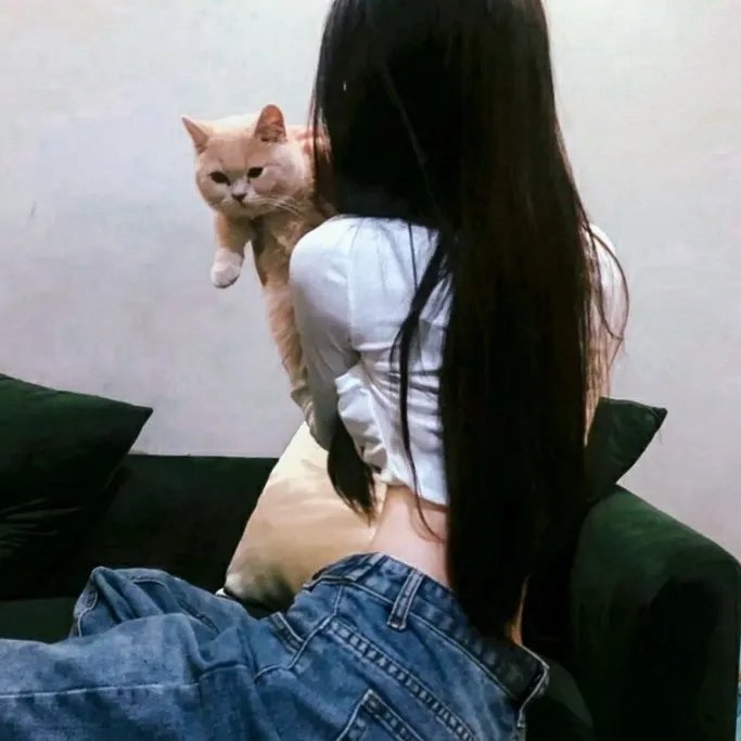 血缘寻亲